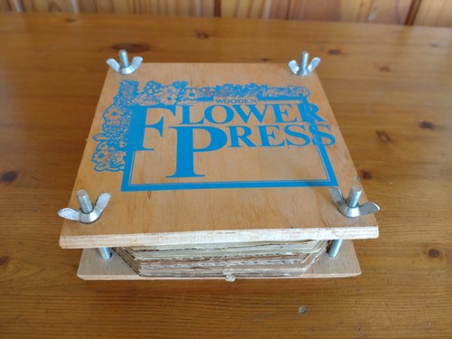 Vintage wooden flower press