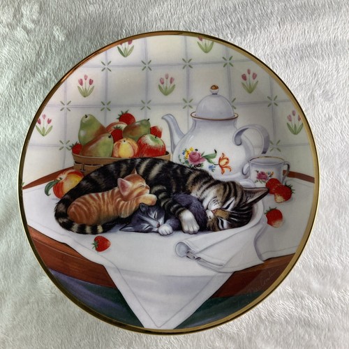 Cat nap plate artist - nap,