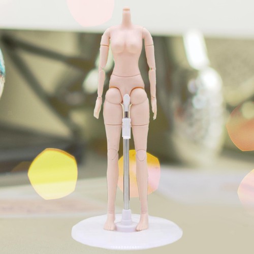 Doll holder display - holder,