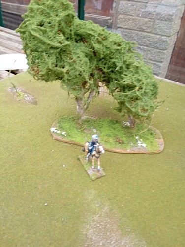 Small wood 28mm wargames - small,