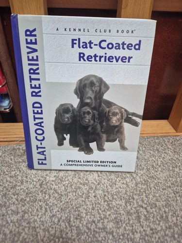 Flat coated retriever john - flat-coated, by