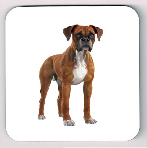 Boxer dog watercolour image - watercolour,