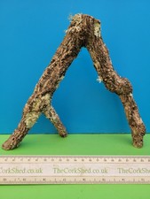 Cork bark branch 22cm snake - bark,