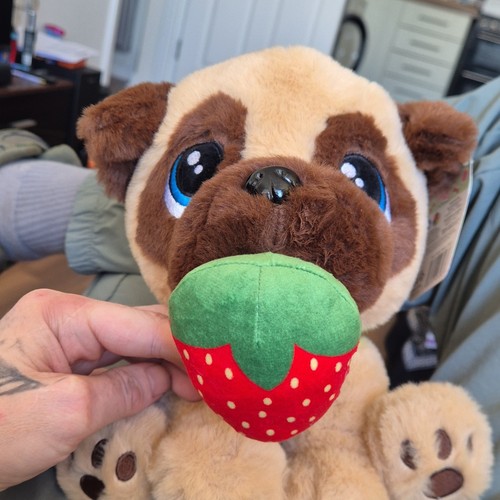Toys snuggle pug - b&j,