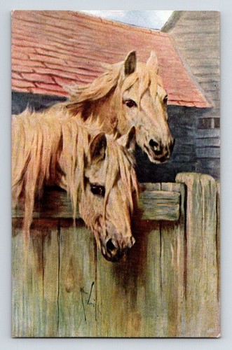 Animals horses vivian - animals:,