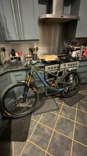 Large Santacruz Bronson