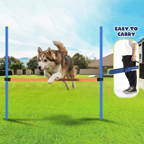 Pawise pet dog - dog, hurdles