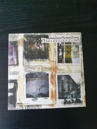 Stereophonics a thousand - -,