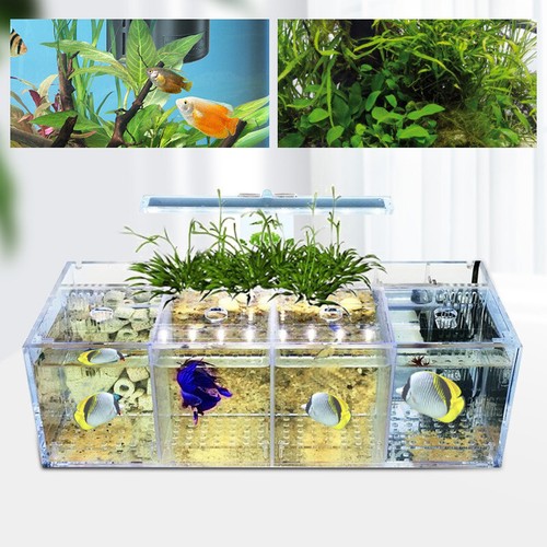 Aquaponic fish tank - aquaponic, 4-grid