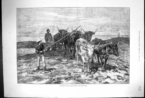 Old antique print - old,