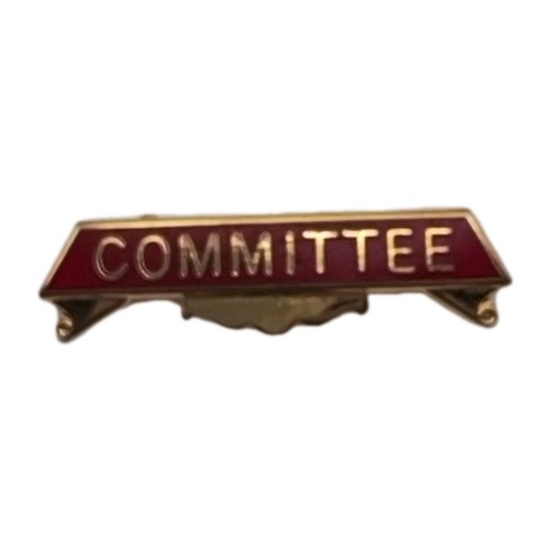 Committee enamel pin - committee, badge
