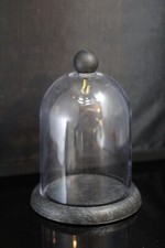 Display Dome For  Pocket Watch