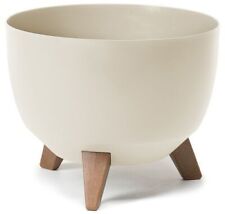 Large Cream Bowl Planter Plant