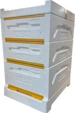 Paradise Honey 10 Frame