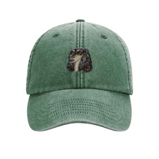 SALUKI BASEBALL CAP