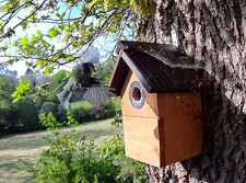 Bird Nest Box With 2K WiFi Camera & SD Card. View on Phone, Tablet, TV, PC