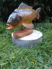 Carp fishing, mirror carp