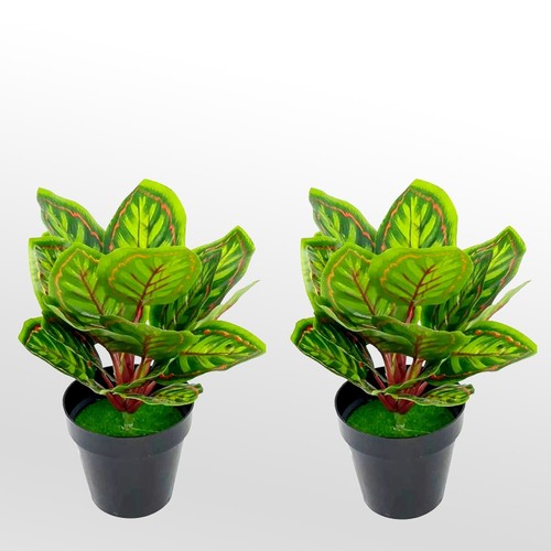 Set potted artificial - set, 2