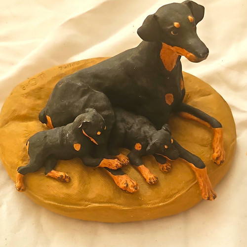 Doberman pinscher dog - doberman,