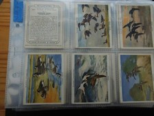 ONE COMPLETE SET CIGARETTE CARDS PLAYERS WILDFOWL