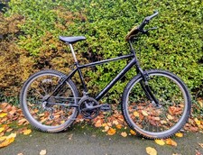Raleigh Max Ogre 26er Rigid