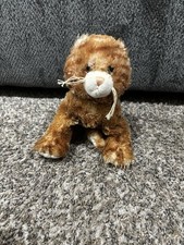 Webkinz Ginger Cat No Code