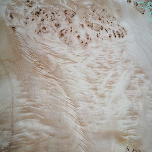 Poplar mapa burl burr veneer - burl,