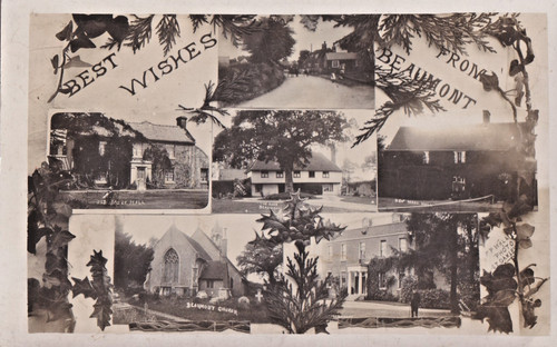 Hgx vintage multiview - vintage,
