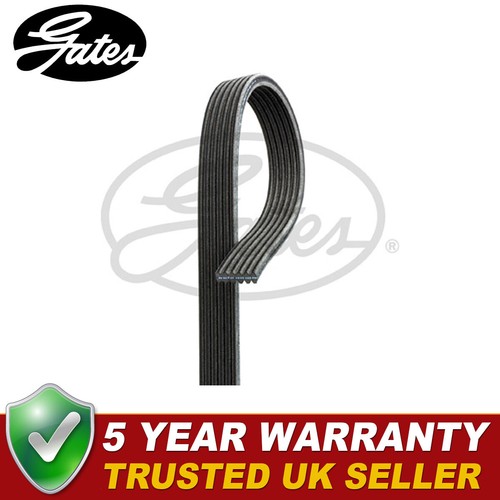 Gates ribbed belts - v-ribbed, vw