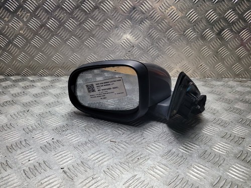 Jaguar type door - jaguar, x-type