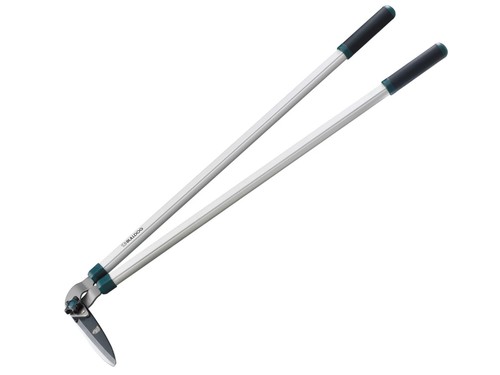Bulldog evergreen edging - bulldog,