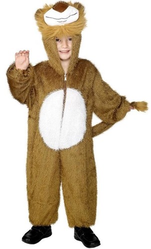 Child lion costume - costume, ages