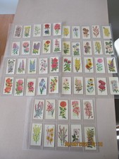 Carreras Black Cat Flowers all the year round 1977 Full Set of 50 Cards