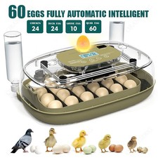 Egg Incubators for Hatching