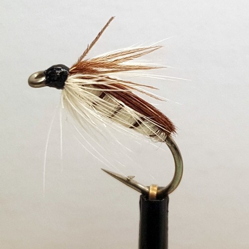 Corixa nymph fly - x,