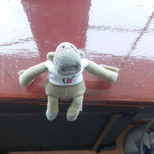 Vintage tips monkey window - tips,
