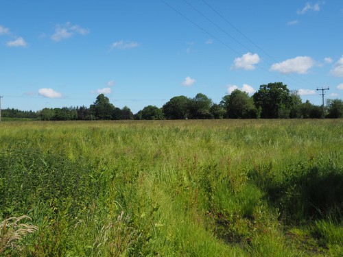 Photo 6x4 grassland - photo,