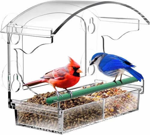 Acrylic clear window bird - acrylic,
