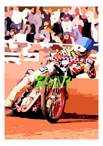 Gary havelock speedway pop art - speedway,