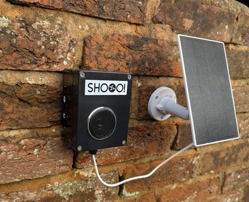 Audio bird scarer - audio,