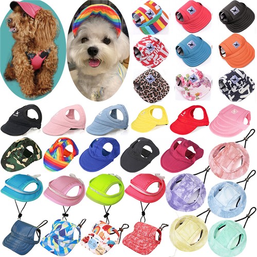 Pet dog hat sports - dog,