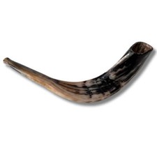 Handcrafted Kosher Polished Ram's Horn Shofar from Holy Land Jerusalem Israel