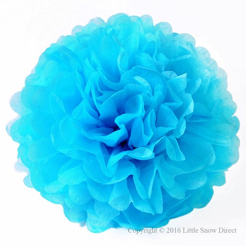 Tissue paper pompoms pom poms - pom,