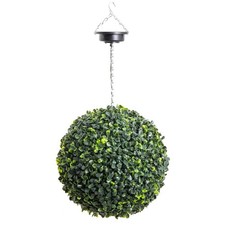 Primrose solar powered - primrose,