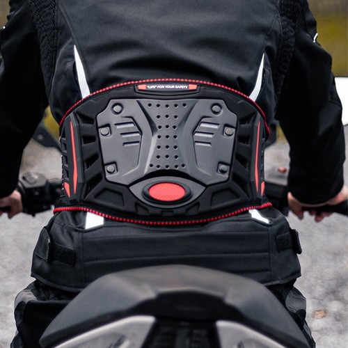 Professional motorcycle kidney - professional,