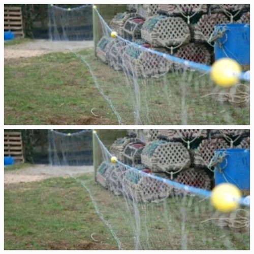 Gill net survival 100ft - gill, net/survival