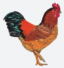 MACHINE EMBROIDERY DESIGNS USB