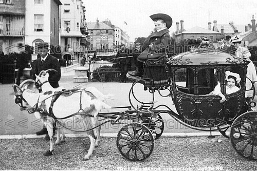 Rro children goat cart - &,