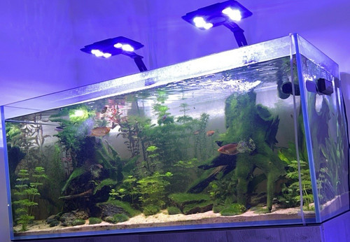 Aqua one 326 fish tank - , with