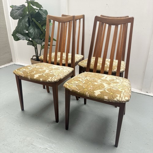 Mcm vintage plan - 4, fresco